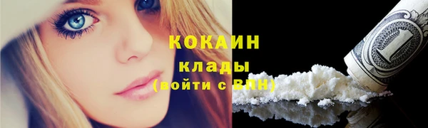 крисы Михайловск