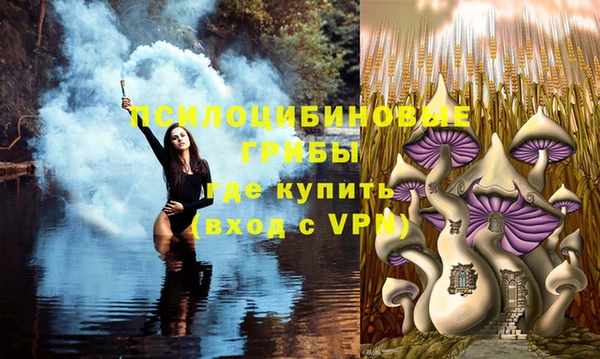 гидропоника Беломорск