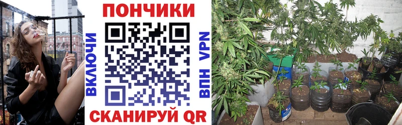 mega зеркало  Реутов  Бошки Шишки гибрид 